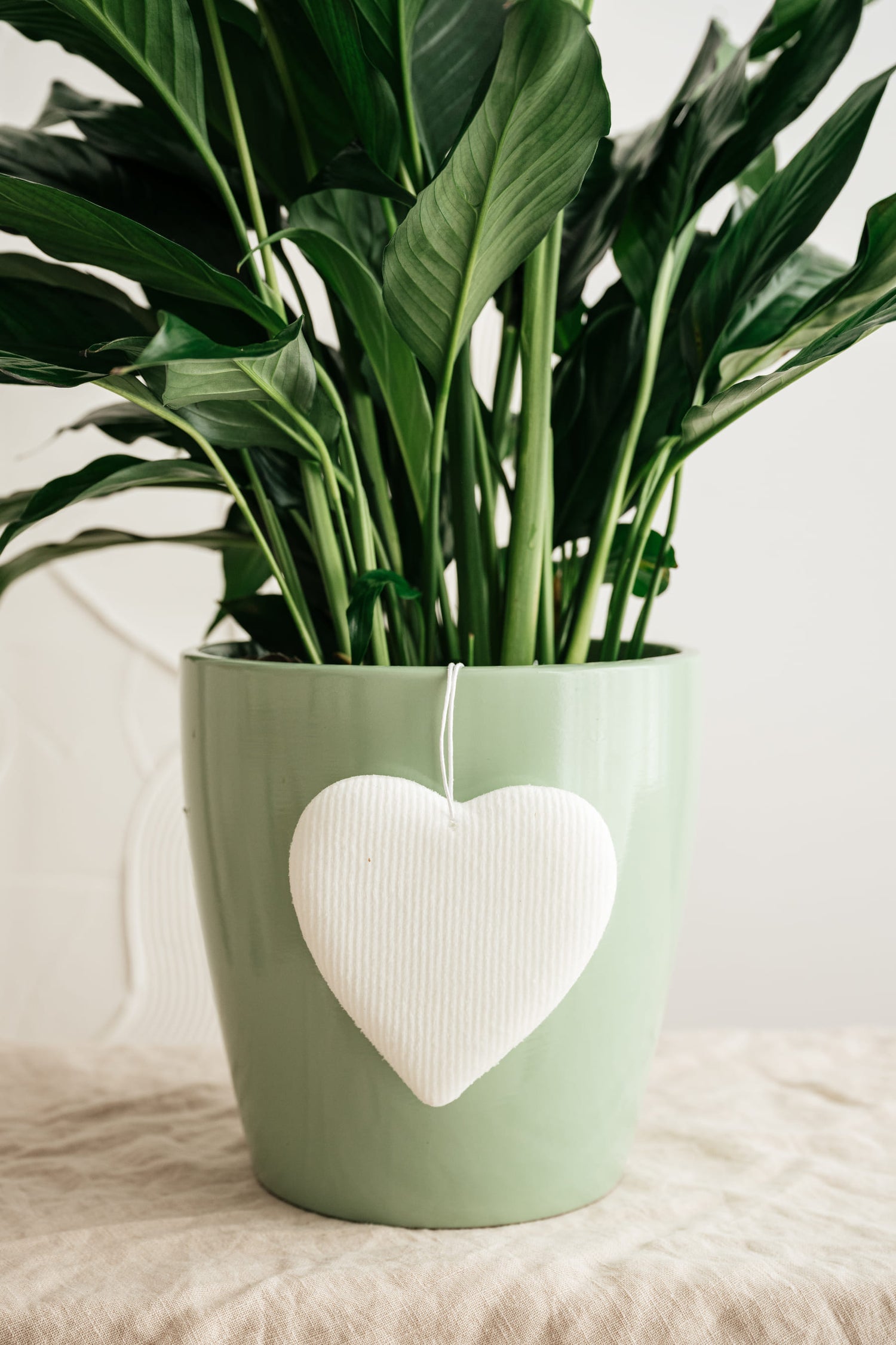 Le coeur blanc