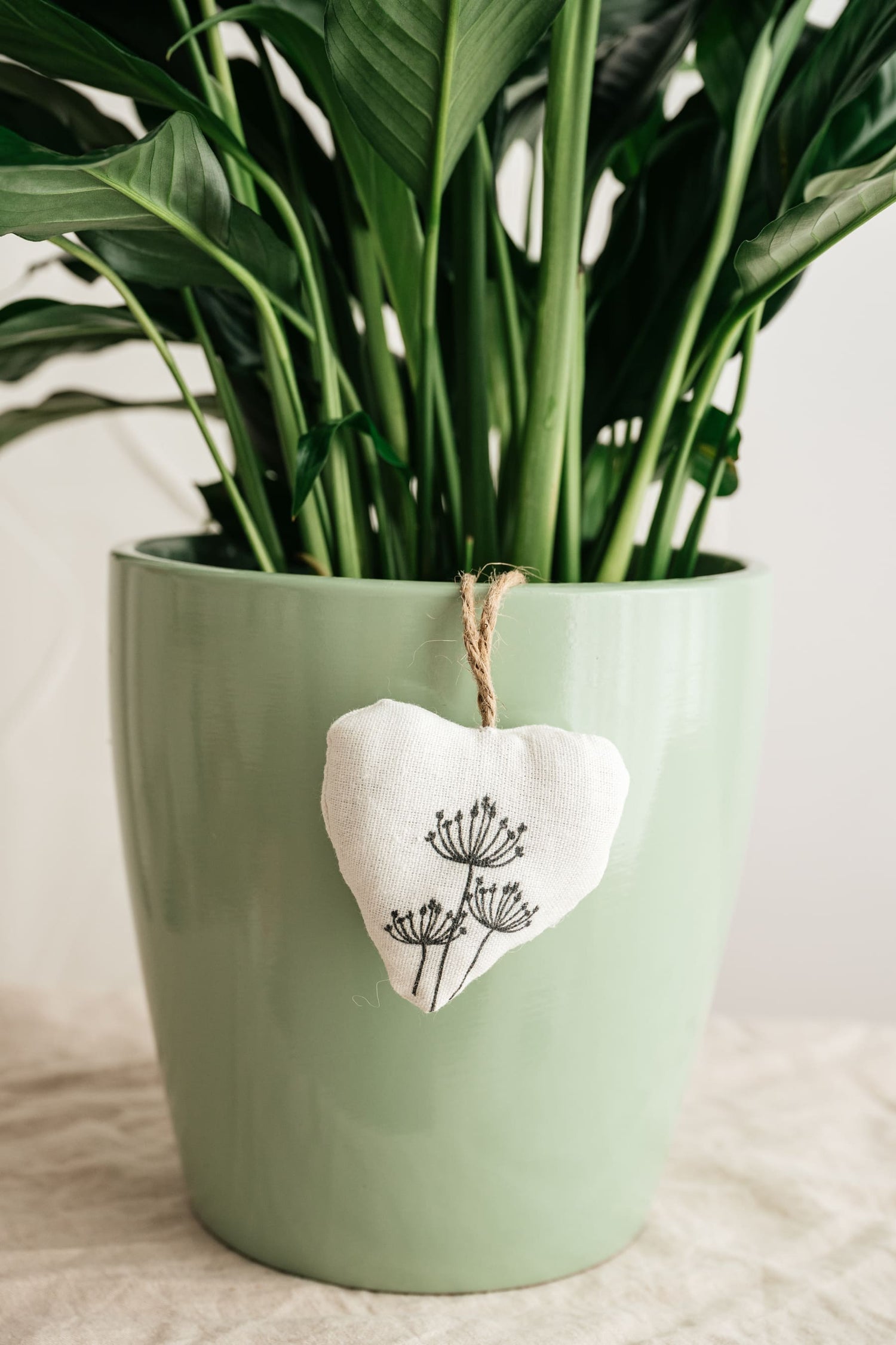 Le coeur en coton