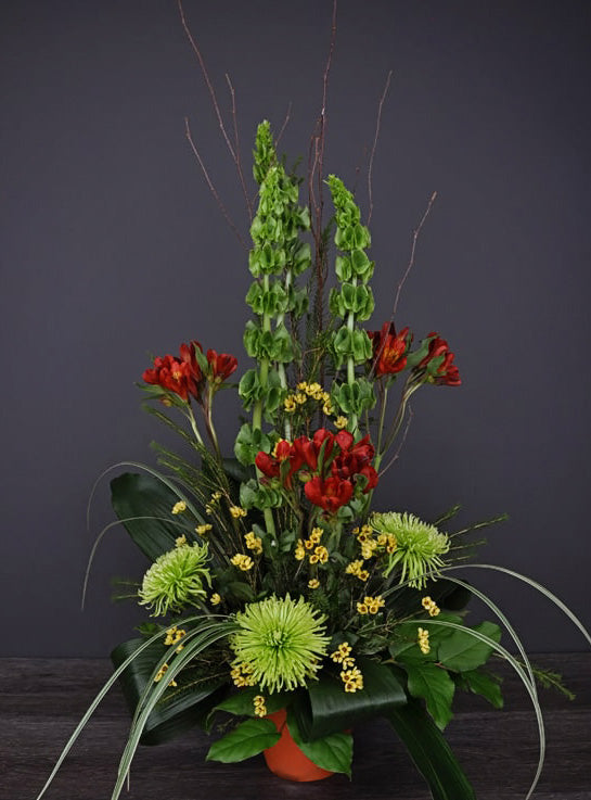 Délicate verdure