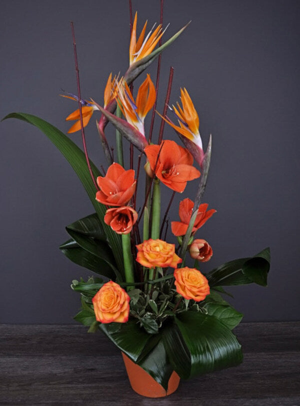 Des oiseaux et des fleurs