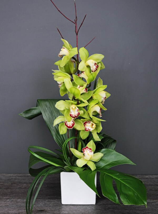 L'Orchidée en toute beauté - 1005